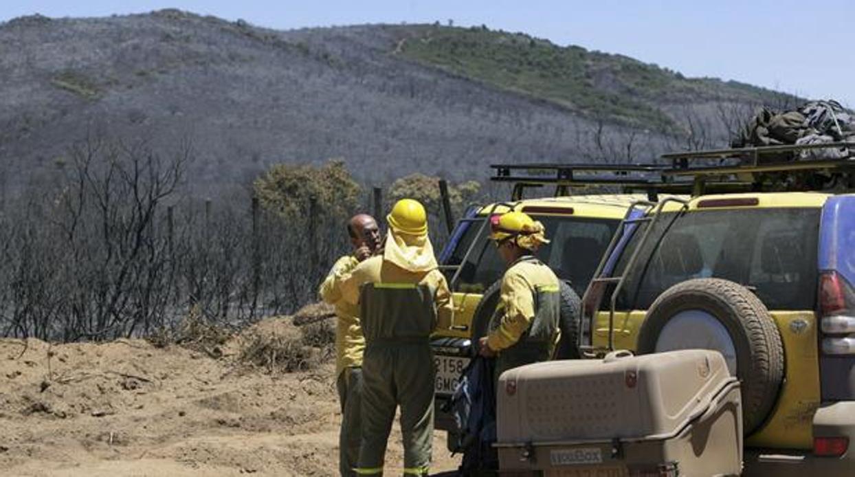 Agentes de un dispositivo tras el trabajo en un incendio