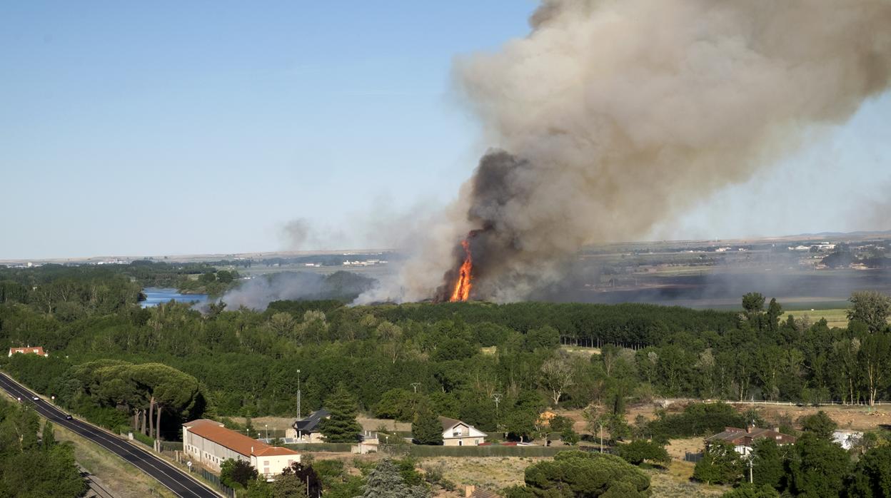 Espectacular incendio en la ribera del Tormes entre los términos de Cabrerizos y Aldealengua, junto a la antigua piscifactoría