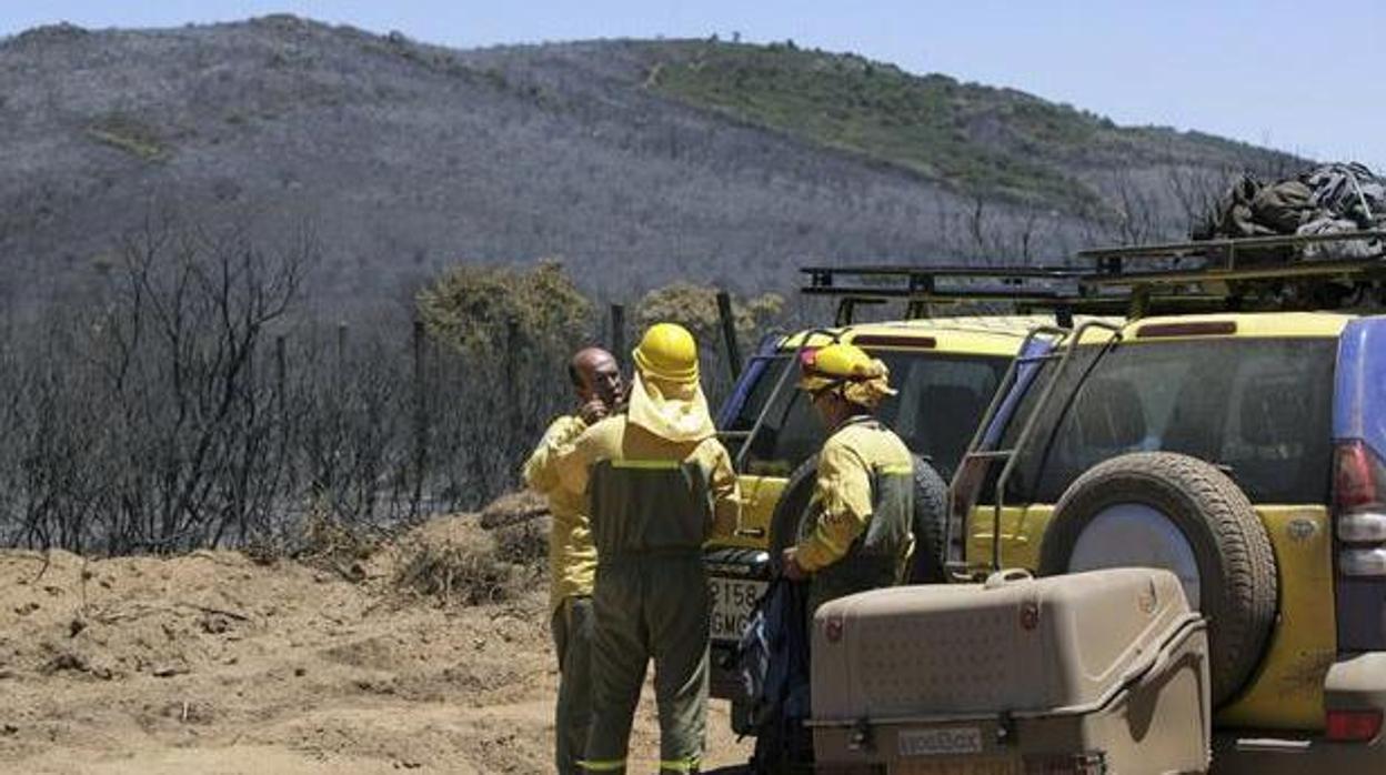 Estabilizado el incendio forestal declarado en Almorox