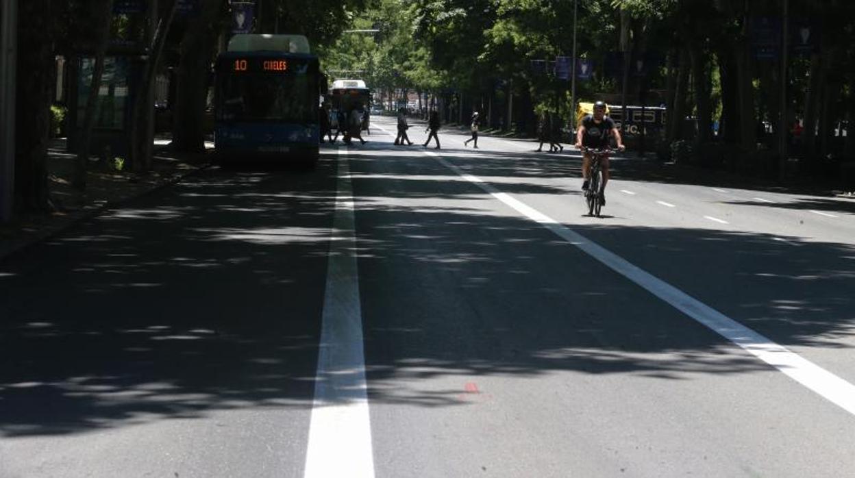 Nuevo carril bus-taxi delimitado en el Paseo del Prado sentido norte
