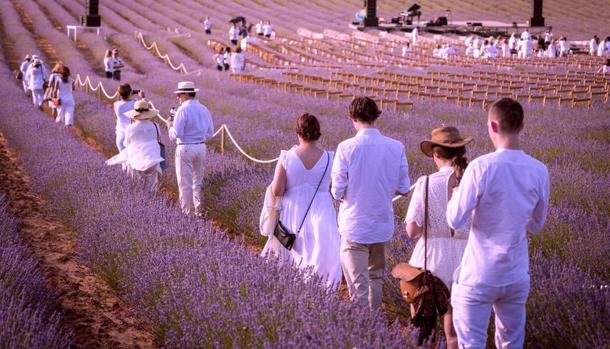 El Festival de Lavanda de Brihuega espera congregar a  personas