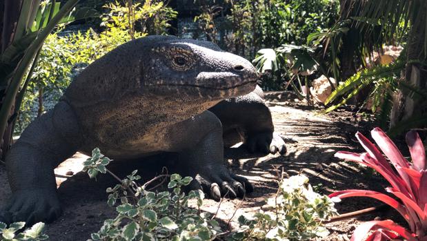 El Oceanogràfic abre las Islas Oceánicas con tortugas gigantes y maquetas de especies extinguidas