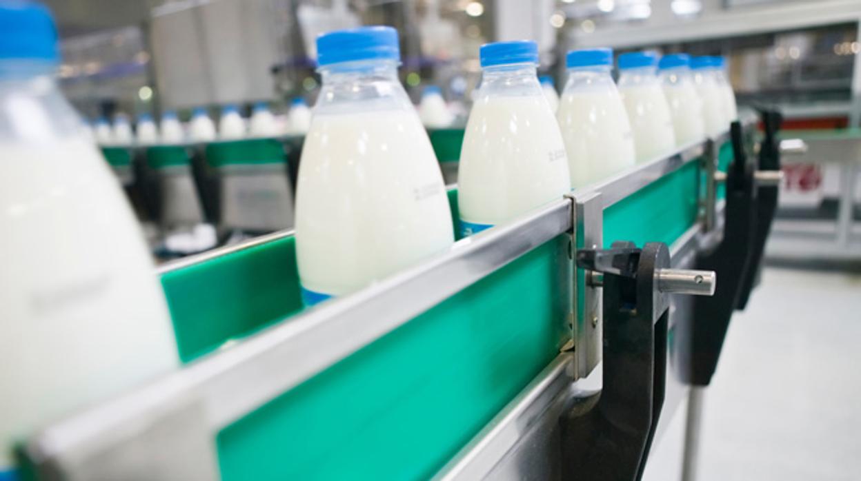 Proceso de etiquetado de botellas de leche