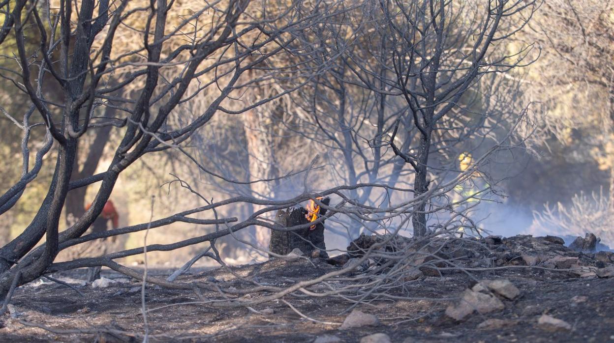 Incendio en Hoyo de Pinares, producido el pasado mes de mayo