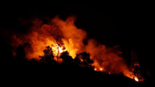 El incendio de Tarragona sigue descontrolado y se teme que pueda quemar hasta 20.000 hectáreas