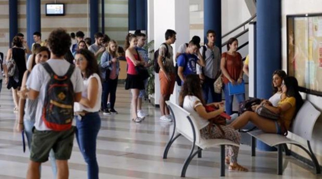 El TS sentencia que el sistema de becas del País Vasco discrimina a alumnos de territorios con menos recursos