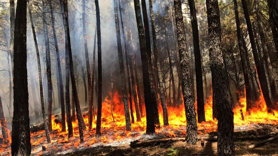 Sigue sin controlar el incendio en Gavilanes (Ávila) en el que trabaja la UME