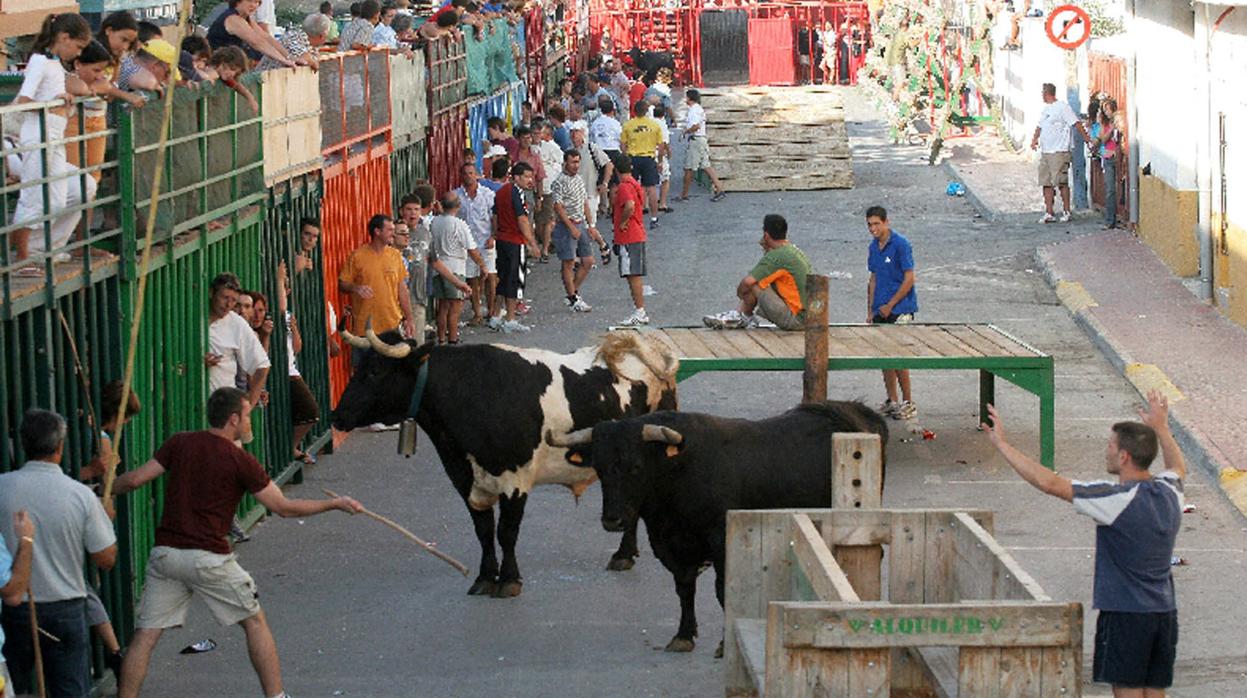 Imagen de archivo de bous al carrer en un municipio valenciano