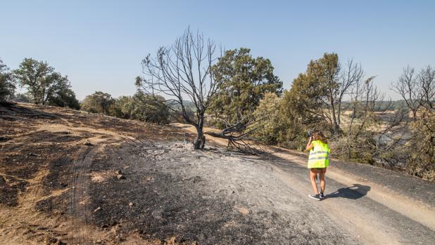 Varias personas declaran ante la Policía por el incendio de Toledo