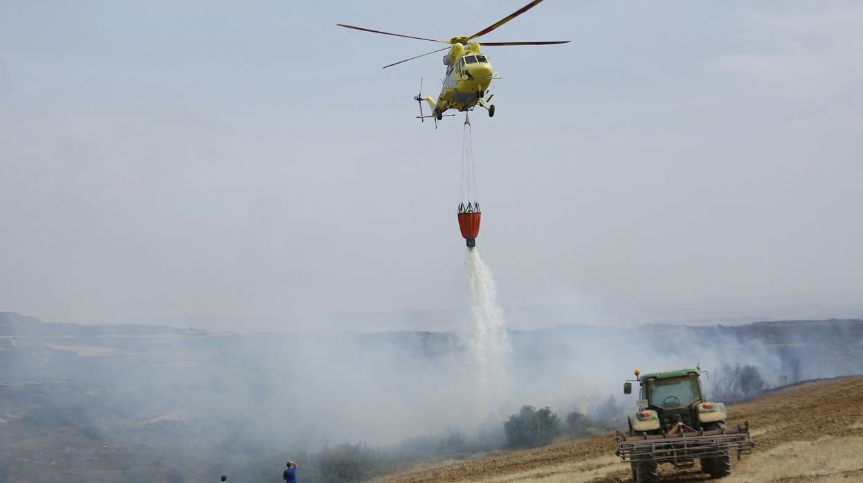 Las temperaturas extremas ayudaron a la proliferación de incendios a campo abierto