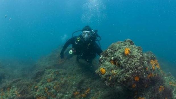 Muere un submarinista tras ser arrollado por una lancha que ahora busca la Guardia Civil