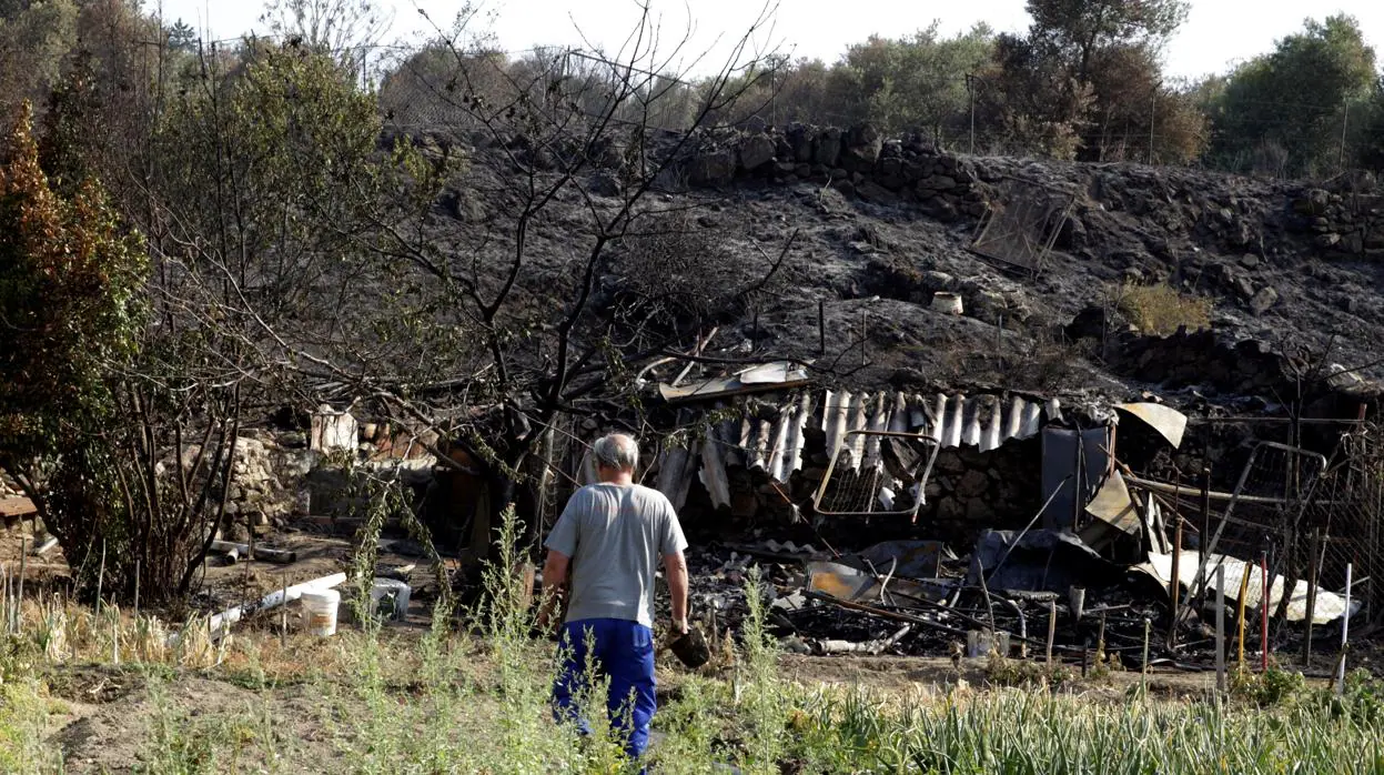 Un hombre contempla una de las zonas afectadas por el incendio