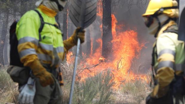 Controlado el fuego de Gavilanes (Ávila), que ha calcinado al menos 500 hectáreas