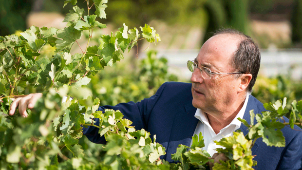 Carlos Moro refuerza su apuesta por Galicia con la adquisición de una bodega en la DO Ribeiro
