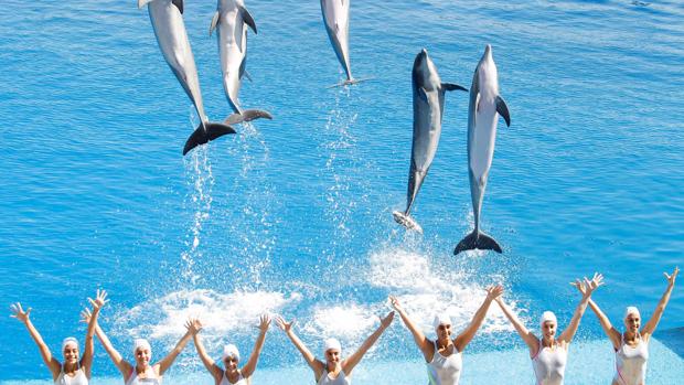 «Las noches del Oceanogràfic» rendirán homenaje a Los Beatles en su programación de este verano