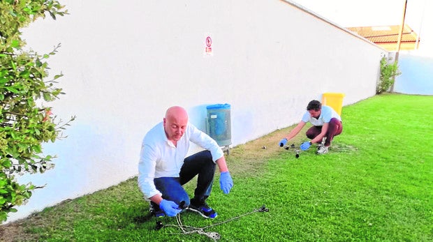 La interminable cruzada en solitario de Paredes de Nava contra la plaga de topillos