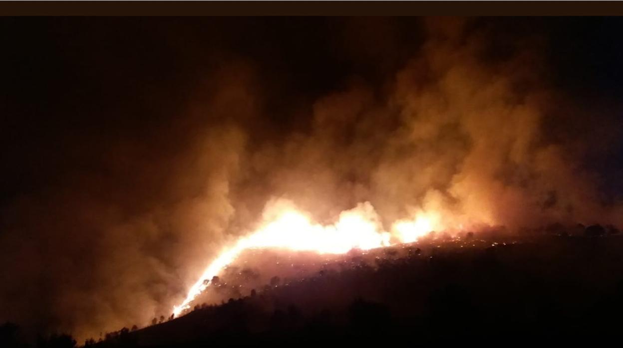 El fuego en Terque (Almería) arrasa 1.600 hectáreas y afecta a otros cinco municipios en su fase «crítica»