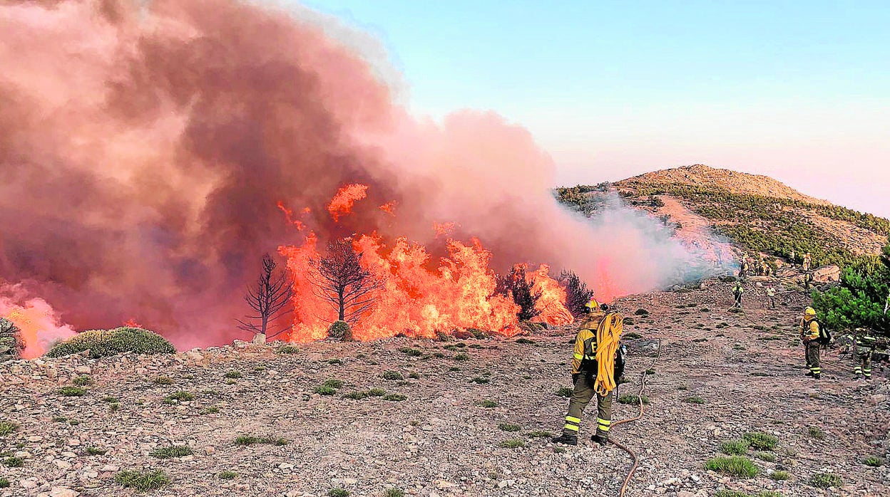 Varios bomberos luchan contra el incendio declarado el sábado en Sotillo de la Adrada (Ávila)