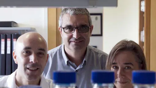 Xosé Bustelo (centro), junto a otros dos investigadores del CIC, en una imagen de archivo