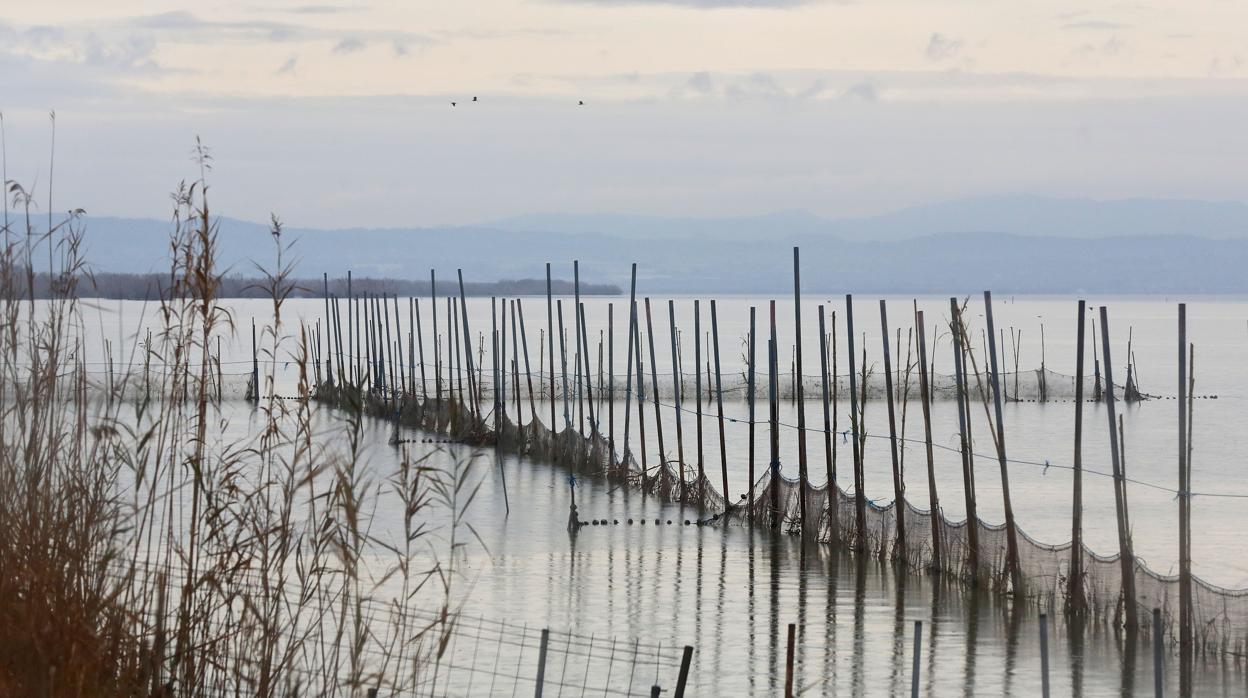 Imagen de la Albufera de Valencia