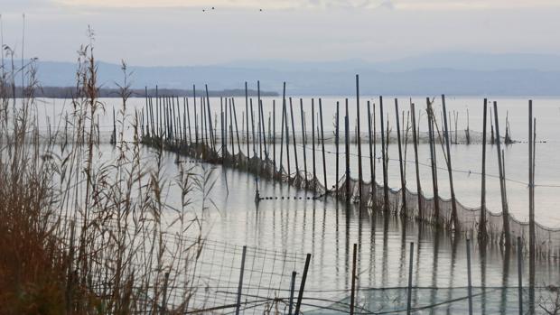 La Fiscalía investiga el «alarmante» descenso del agua en la Albufera de Valencia durante el mes de junio