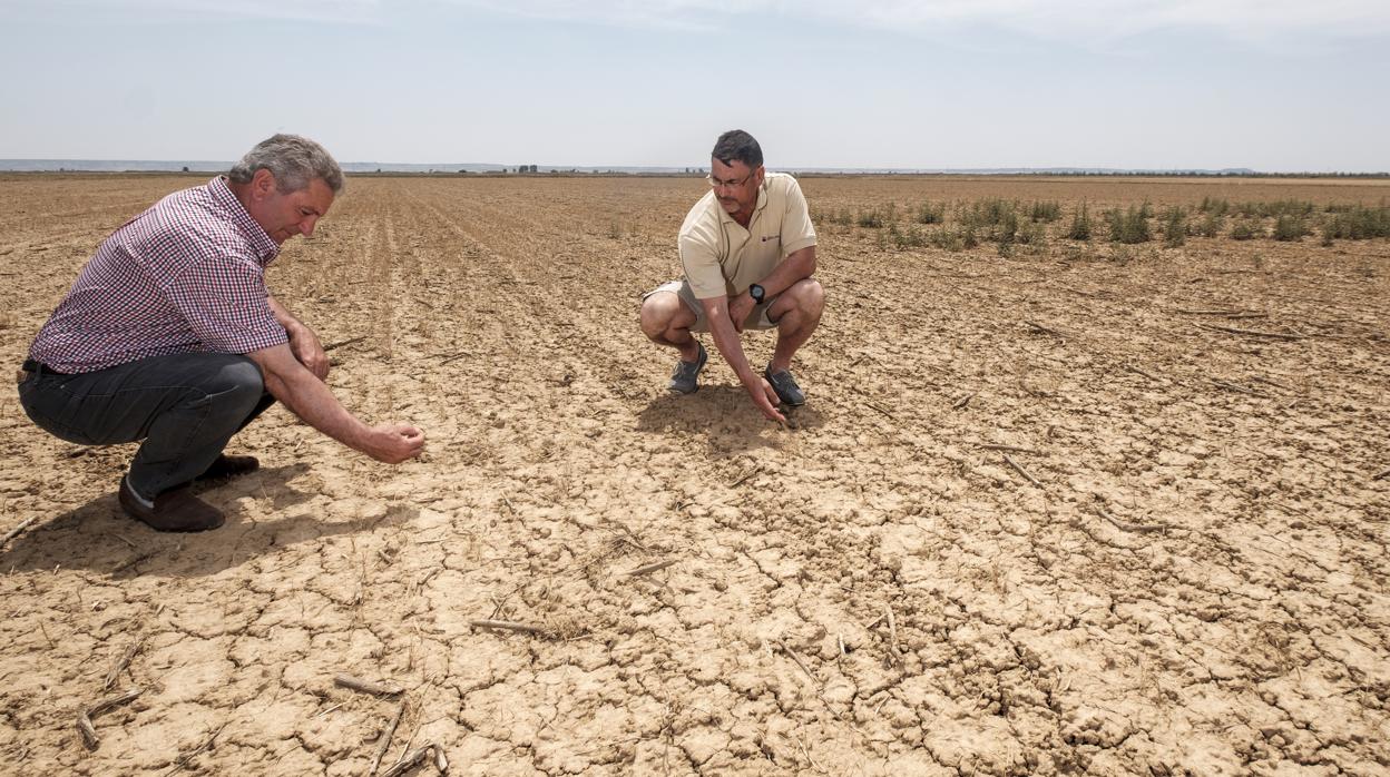 La sequía ataca de nuevo a Castilla y León, como ya ocurrió en 2017