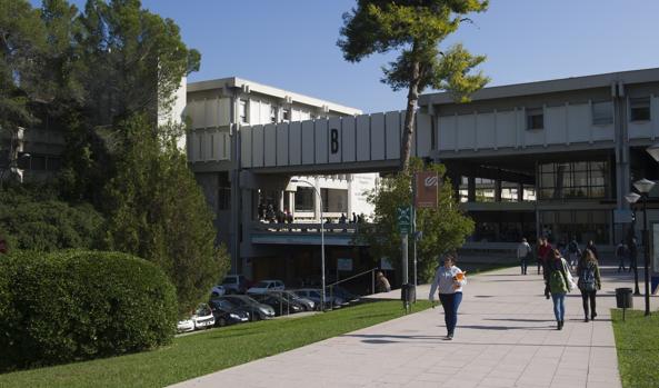 SOS de los rectores catalanes: Piden a Torra 900 millones para «afrontar la grave situación financiera»