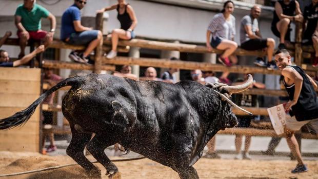 Despedida con percances en las vaquillas de La Puebla de Montalbán