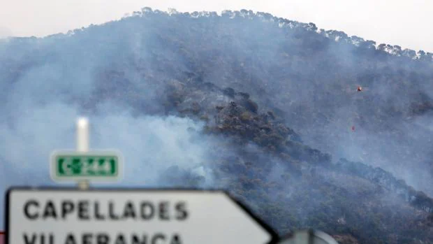 Un incendio activo en Capellades, Barcelona, quema 45 hectáreas
