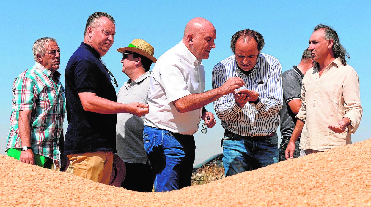 Carnero presenta la estimación de cosecha de cereales de la presente campaña junto a las opas