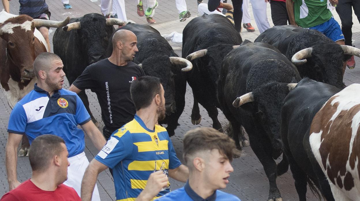 Participantes corren frente a los toros en un encierro