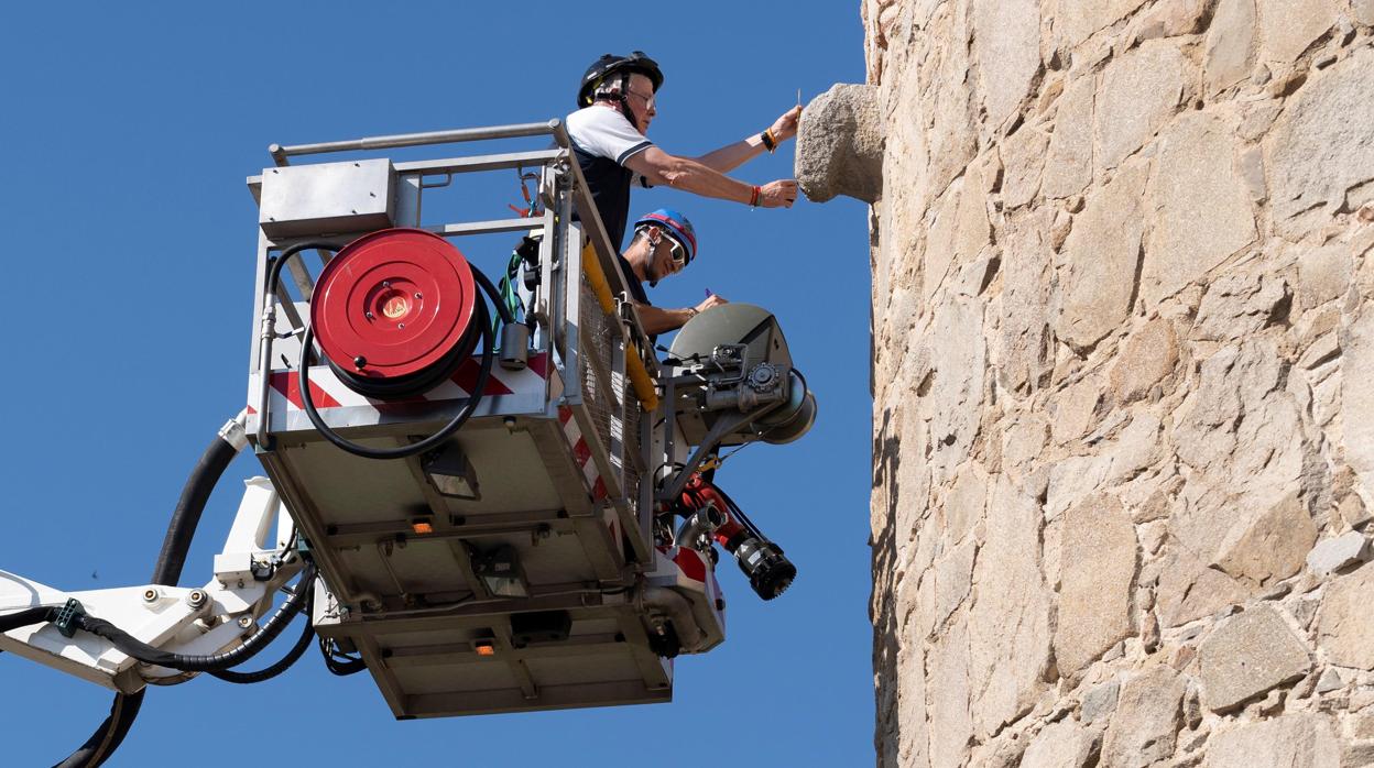 El Ayuntamiento de Ávila recoge varias muestras de los verracos de la muralla