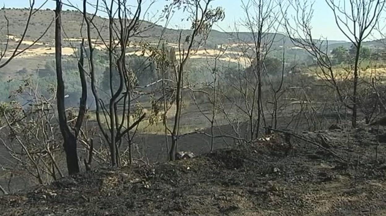 Una de las imágenes que dejó el incendio en Brihuega