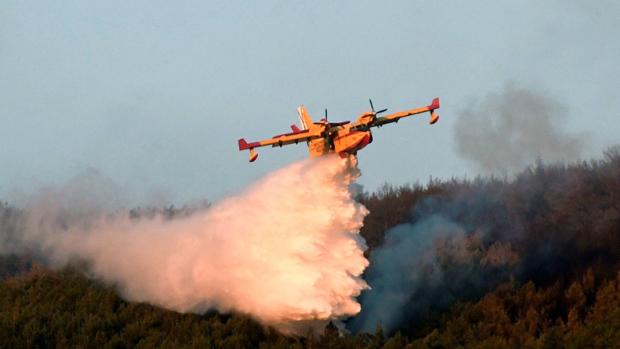 Más de la mitad de la superficie quemada en La Granja pertenece al Parque Nacional