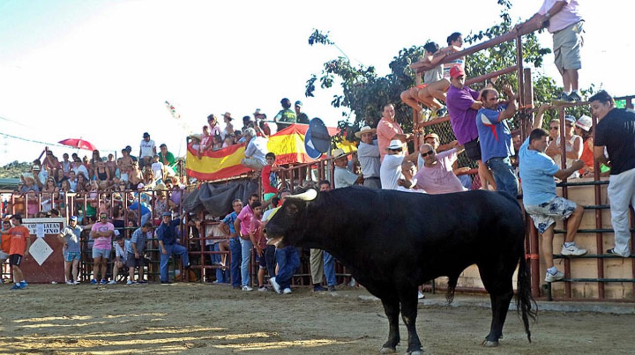 Encierro en Cervera de los Montes