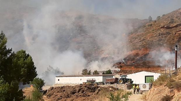 Medios aéreos trabajan en la extinción de un incendio forestal en Casas Bajas