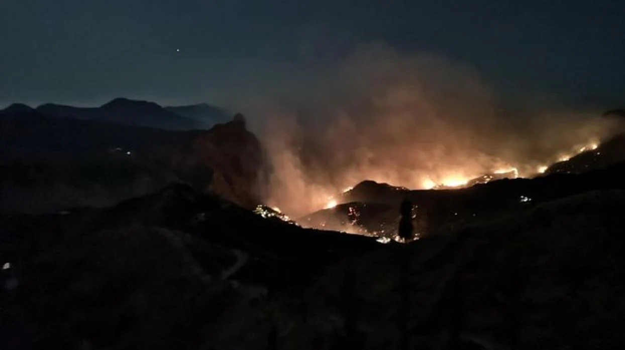 Vídeo en directo: Incendio forestal en Canarias