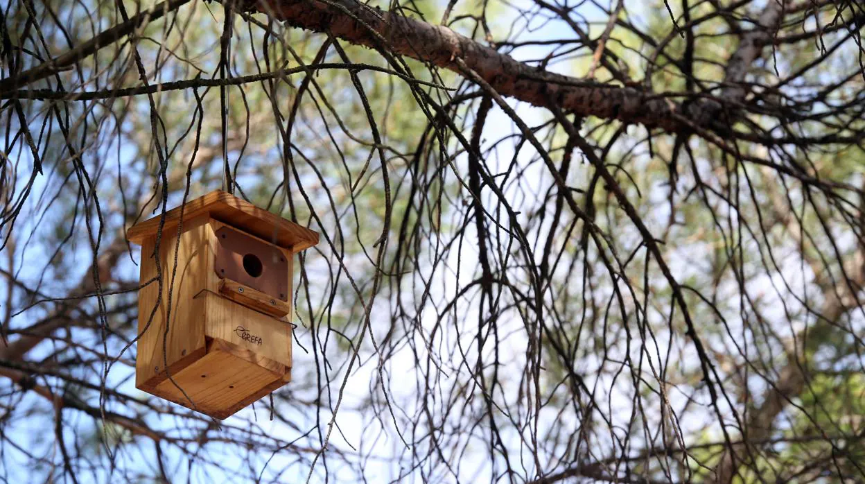 Caja nido para diferentes tipos de aves insectívoras