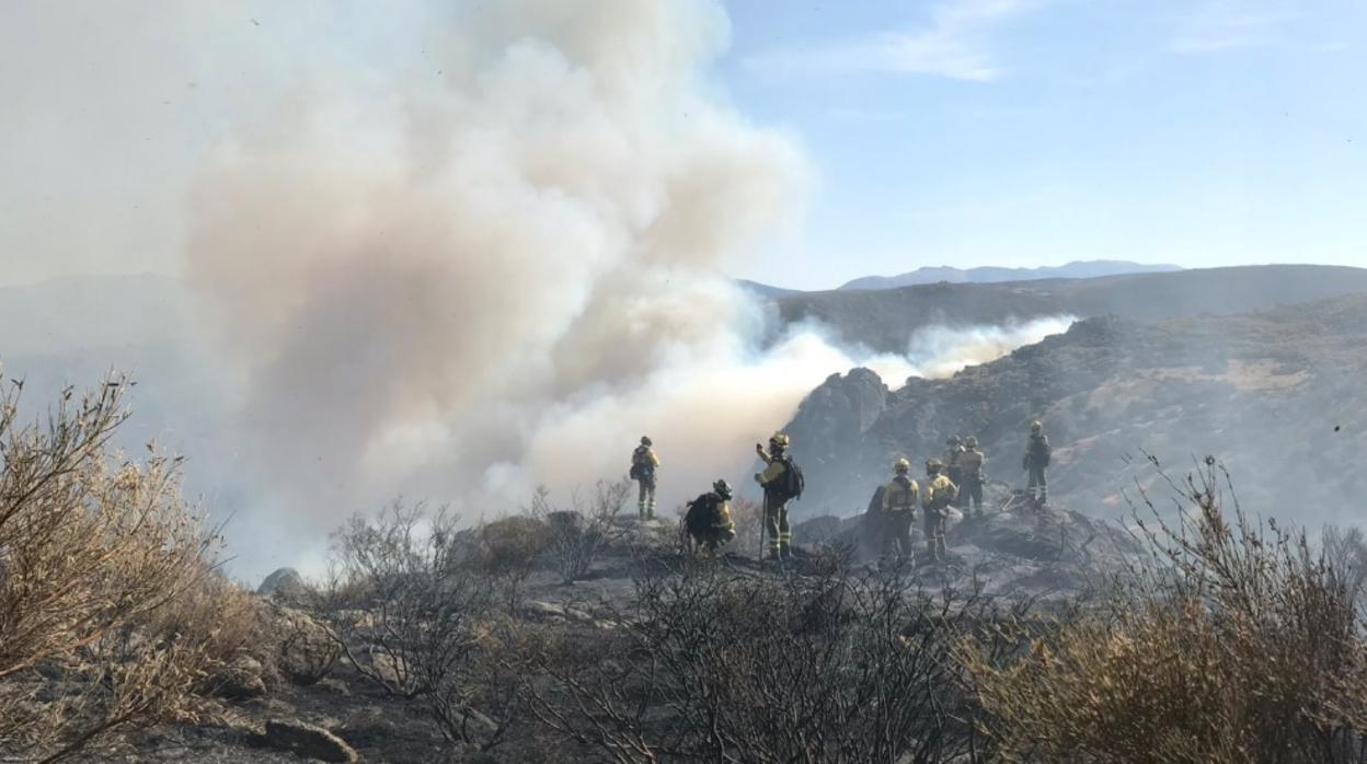 Brigadas trabajando en el incendio de Navalacruz