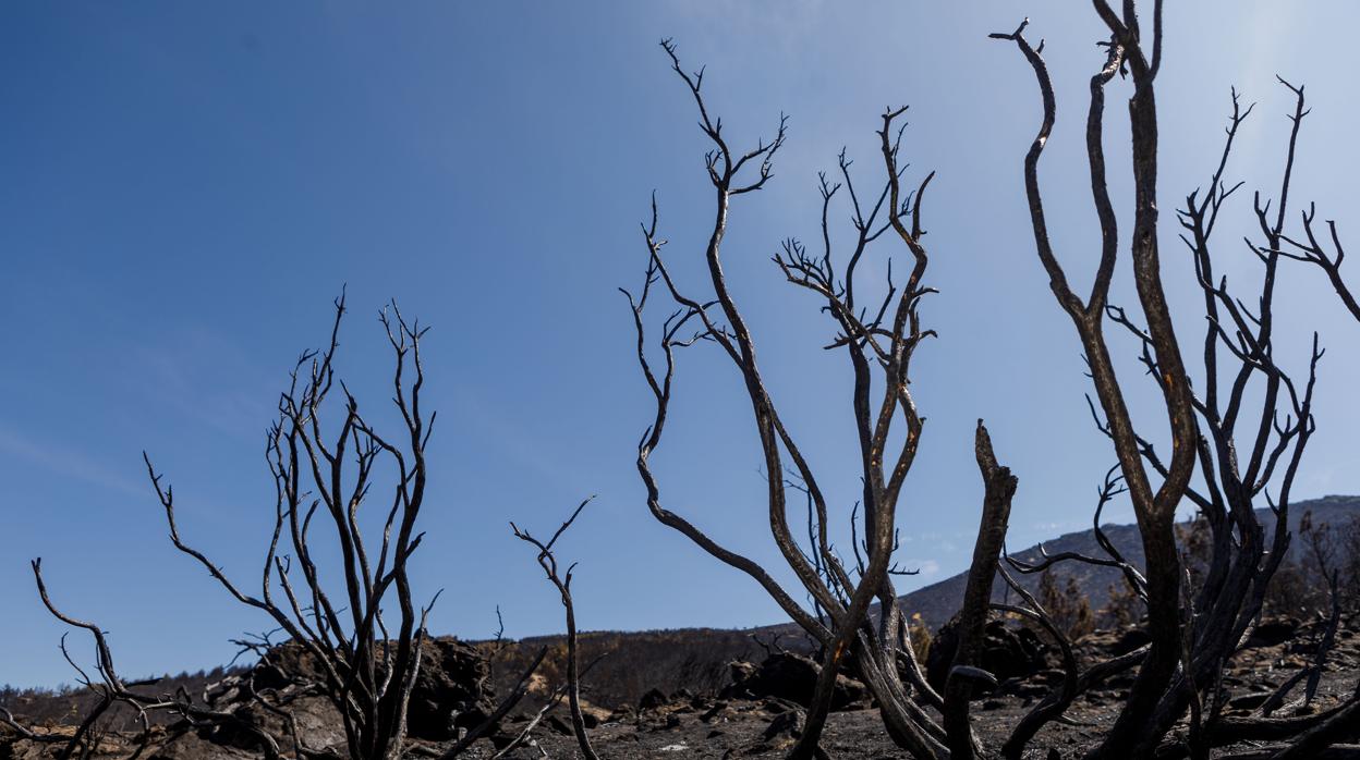 Los trabajos para extingir el incendio aún se prolongarán varios días