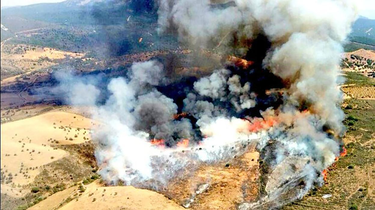 Incendio forestal en el pueblo de Serradilla del Arroyo (Salamanca)