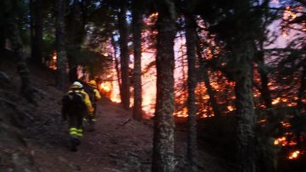 El incendio de Gran Canaria ya ha devorado 1.700 hectáreas y ha provocado más de 4.000 desplazados