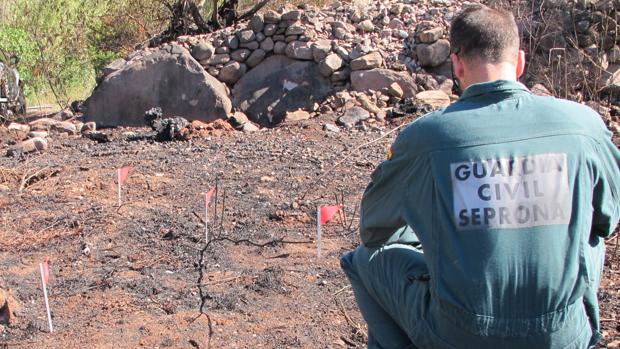 La Guardia Civil investiga a un joven de 20 años como supuesto autor del incendio forestal en Soneja