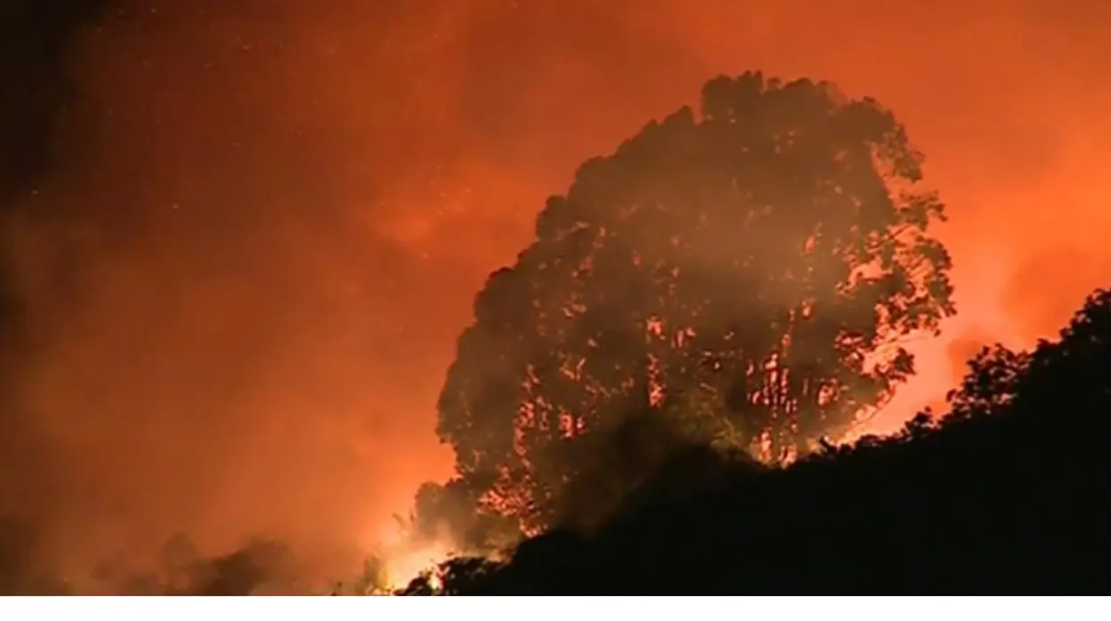 Mejora el frente forestal de Gran Canaria: el incendio puede controlarse pronto