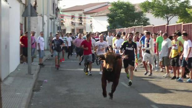 Dónde ir de fiesta este jueves en la provincia de Toledo