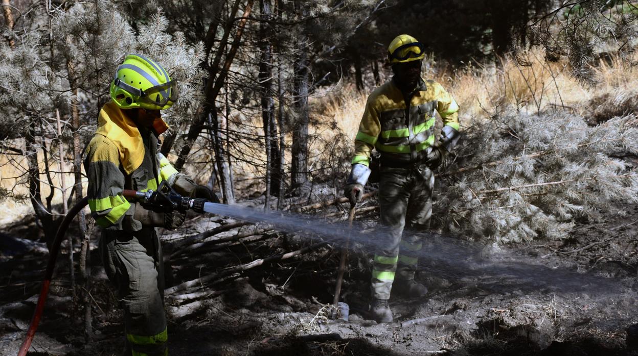 Los bomberos refrescan la zona afectada por el incendio que se originó el pasado 4 de agosto en La Granja