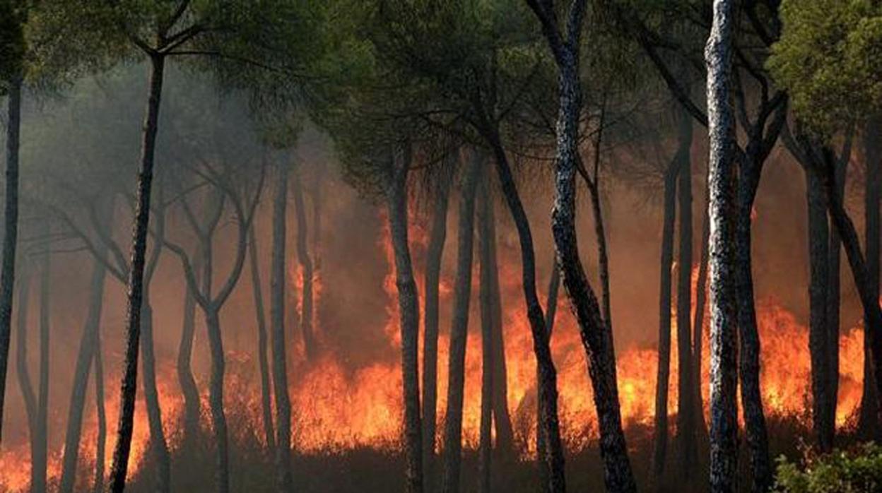 Un incendio en una imagen de archivo