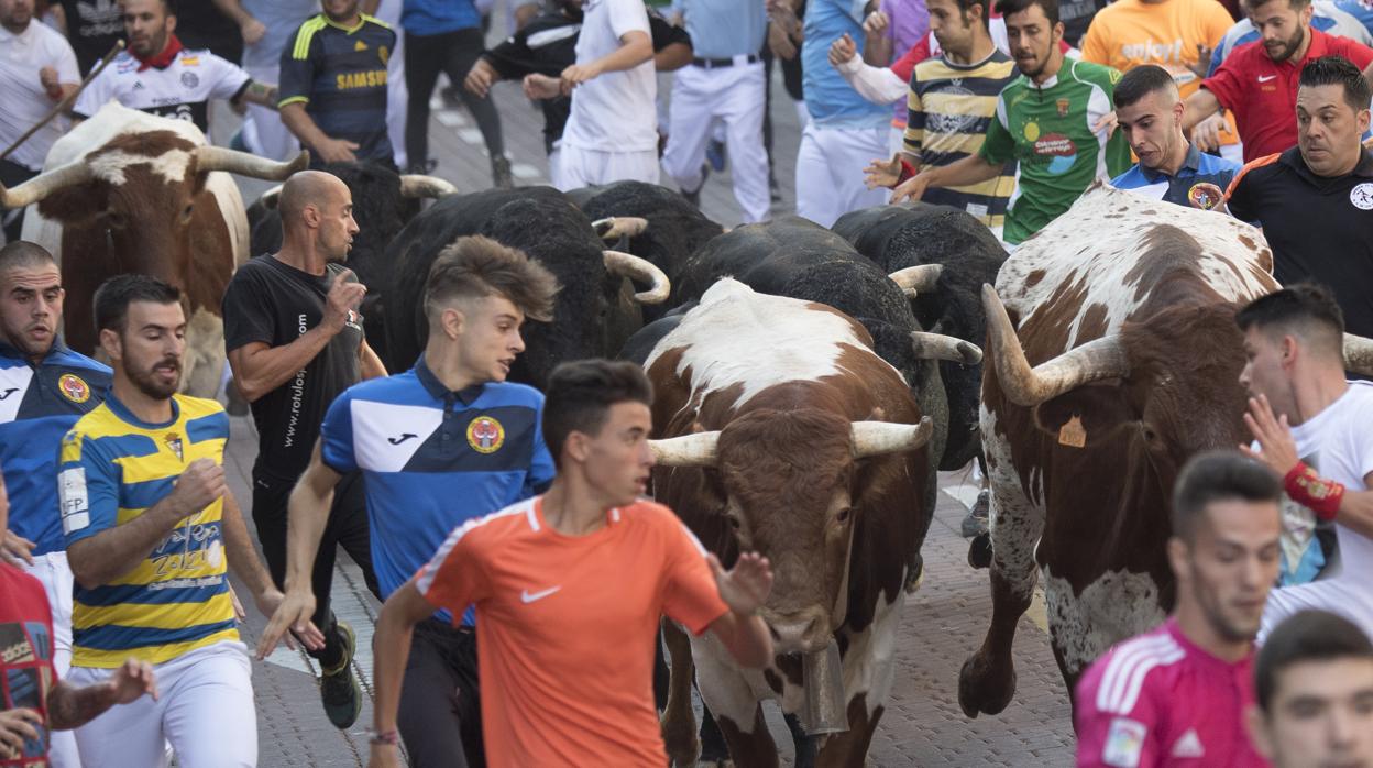 Varios jóvenes corren delante de los toros en uno de los encierros de la «Pamplona chica» del año pasado