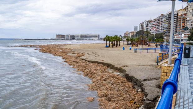Cierran al baño dos playas de Alicante por la mala calidad de sus aguas
