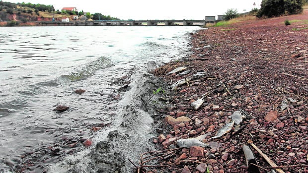 El agua ya no llega al 20% en los pantanos de Entrepeñas y Buendía